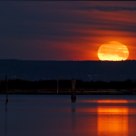 Goodnight Moon.